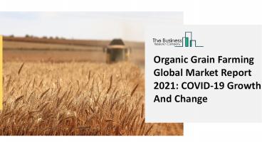 (2021-2030) Global Organic Grain Farming Market Size, Share, Growth And Trends