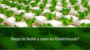 How to Build a Lean-to Greenhouse