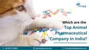 Which are the top Animal Pharmaceutical Company in India?