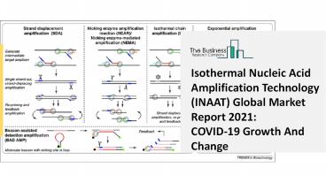 Isothermal Nucleic Acid Amplification Technology (INAAT) Market Growth Analysis through 2030