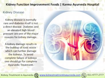 Kidney Function Improvement Foods - Karma Ayurveda Hospital