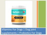 vitamins for my dog