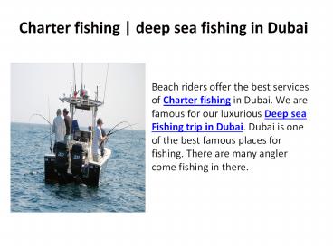 Dubai fishing | Dubai fishing trip
