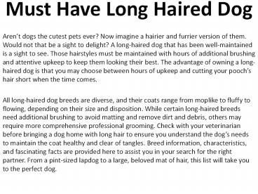 Must Have Long Haired Dog (1)