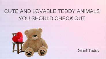 Cute and Lovable Teddy Animals You Should Checkout
