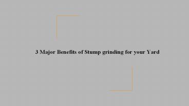 3 Major Benefits of Stump grinding for your Yard
