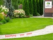 Transform your empty place into a beautiful garden