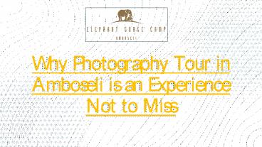Why Photography Tour in Amboseli is an Experience Not to Miss