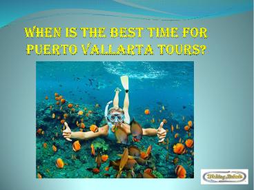 When Is The Best Time For Puerto Vallarta Tours?