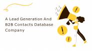 A Lead Generation And B2B Contacts Database Company
