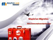 Everything about the South African Immigration (1)