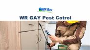 Essential tools for Pest control
