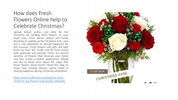 Christmas Flowers Online