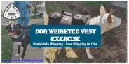 Dog Weighted Vest Exercise