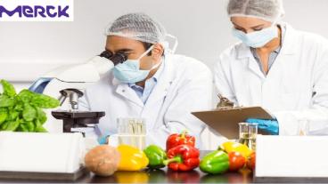 Chemical Analysis of Food