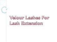 Velour Lashes For Lash Extension