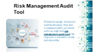 Risk Management Audit Tool