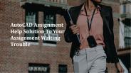 AutoCAD Assignment Help Solution To Your Assignment Writing Trouble