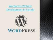 Wordpress Website Development in Florida