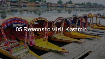 05 Reasons to Visit Kashmir