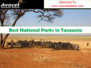 Best National Parks in Tanzania