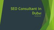 SEO Consultant in Dubai