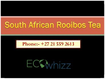 South African Rooibos Tea