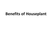 Benefits of Houseplant