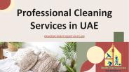 Professional Cleaning Services in UAE