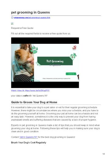 Pet Grooming In Queens