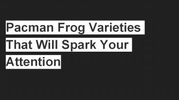 Pacman Frog Varieties That Will Spark Your Attention