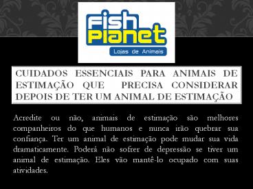 Cuidados essenciais para animais de estimação que  precisa considerar depois de ter um animal de estimação