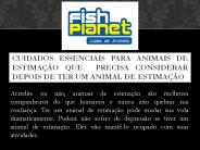 Cuidados essenciais para animais de estimação que  precisa considerar depois de ter um animal de estimação