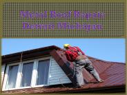 Metal Roof  Repair Detroit  Michigan