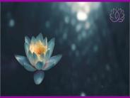 psychic in sedona