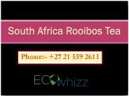South Africa Rooibos Tea