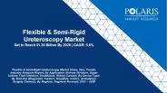 Flexible & Semi-Rigid Ureteroscopy Market