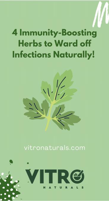 4 Immunity-Boosting Herbs to Ward off Infections Naturally!