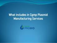 What includes in Cgmp Plasmid Manufacturing Services