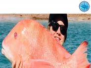 Reef Fishing Charters Airlie Beach