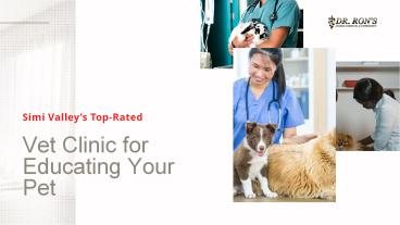 presentation player overlay