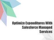 Optimize Expenditures With Salesforce Managed Services