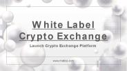 White Label Crypto Exchange Software