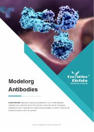 Model Organism Antibody Products
