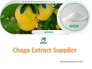Chaga Extract Supplier