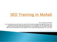 SEO Training in Mohali