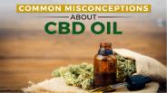 Common Misconceptions About CBD