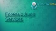 Forensic Audit Services - BLueArrowCPAs