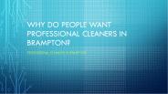Professional Cleaners in Brampton - Akkadian Cleaning Services