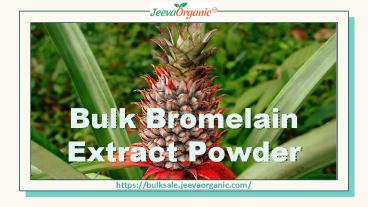 Organic Bromelain Powder Supplier | Bulk Bromelain Extract Powder